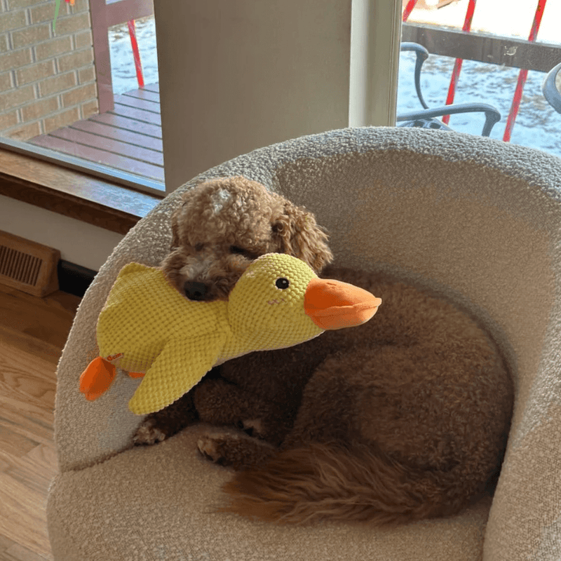 Calming Duck Pet Toy - Aussie Premium Deals