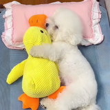 Calming Duck Pet Toy