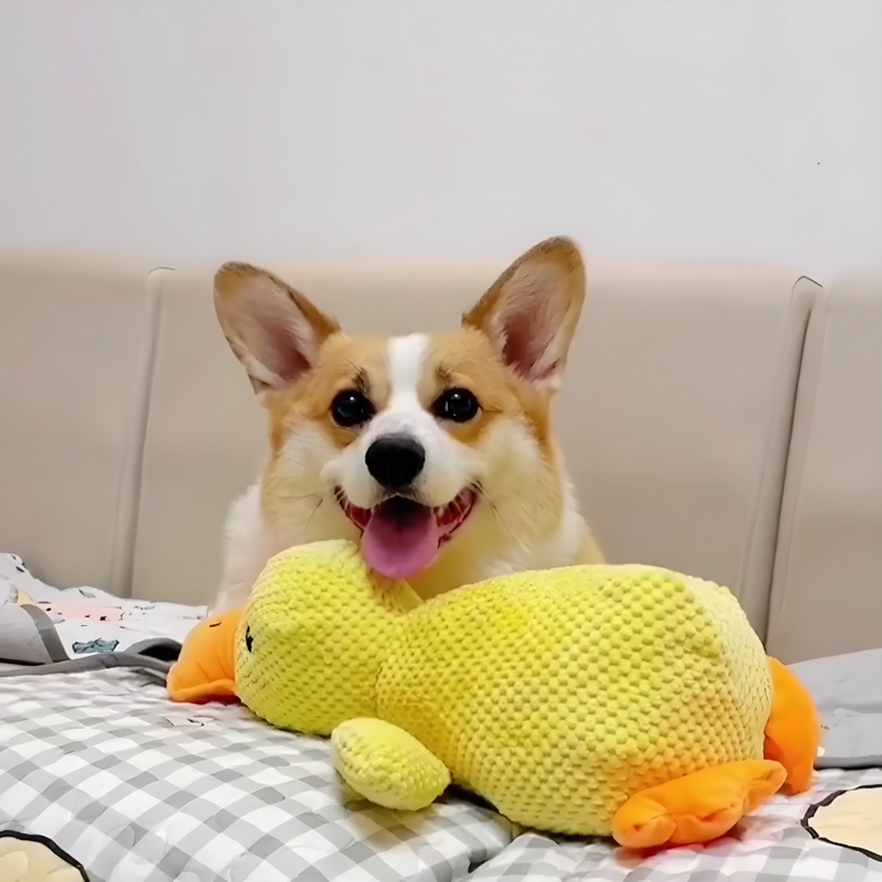 Calming Duck Pet Toy